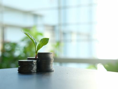 Investing Fundamentals